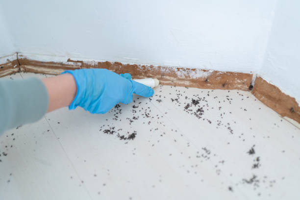 Best Pest Exclusion Services  in Ke Arthur, LA